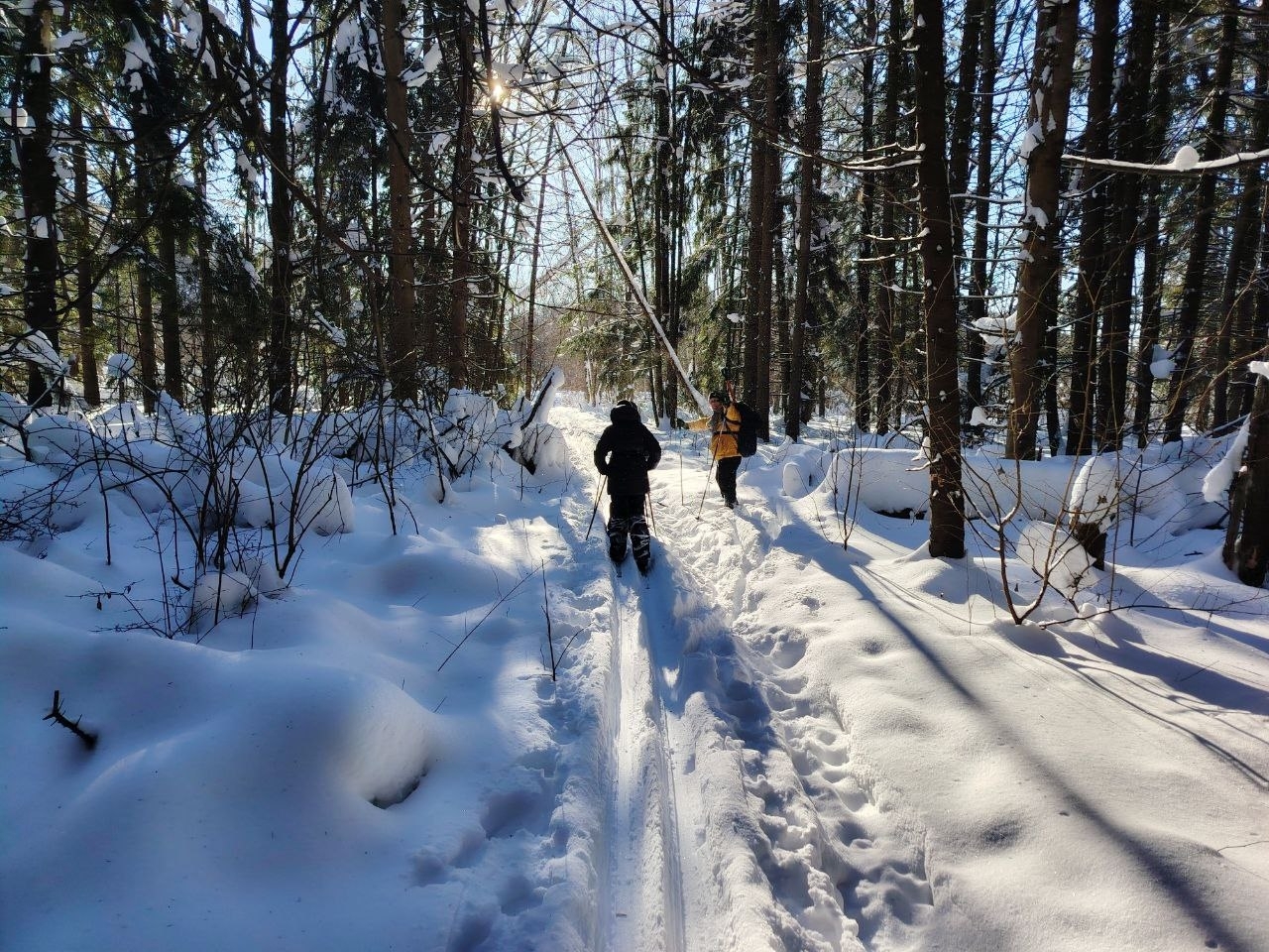 Наши туристы не признают зимней спячки!